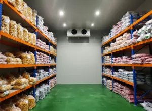 cold storage di muara baru jakarta utara